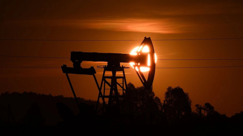 Эксперт ТЭК Кулагин: &laquo;Перекинуть столько нефти из Индии в другую страну не получится&raquo;