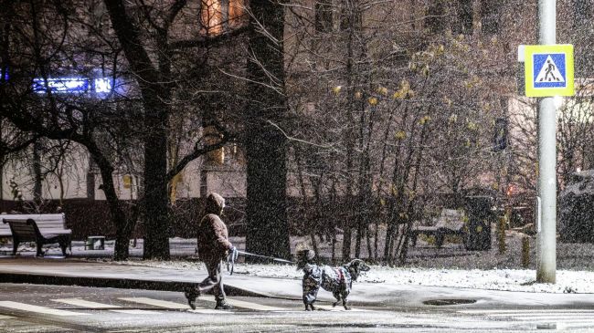 Гидрометцентр: 21&nbsp;ноября в&nbsp;Москве до +3 градусов, снег, дождь, гололед