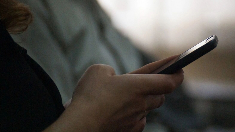 Россияне жалуются на зависание сообщений в WhatsApp*: мессенджер &laquo;отваливается&raquo;?