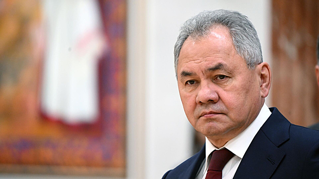 Шойгу заявил о появлении на Востоке &laquo;зародышей НАТО&raquo;