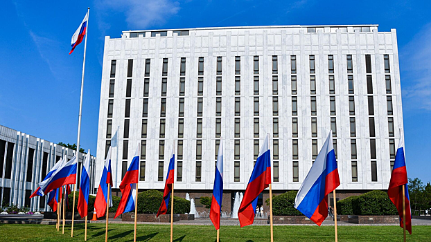 Посольство РФ прокомментировало задержание двух россиянок в США