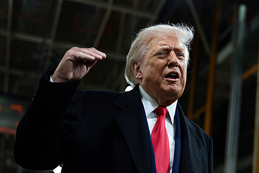 Трамп отверг вопрос о готовности силой захватить Гренландию