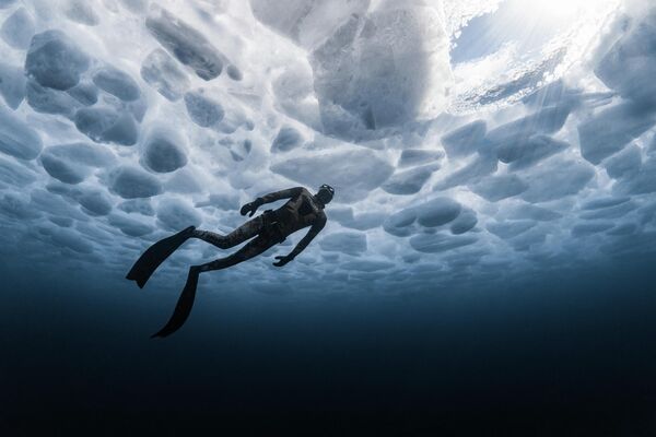 Поцелуй рыб, ухо Будды и фантомы: победители конкурса Ocean Art 2025 (фото)