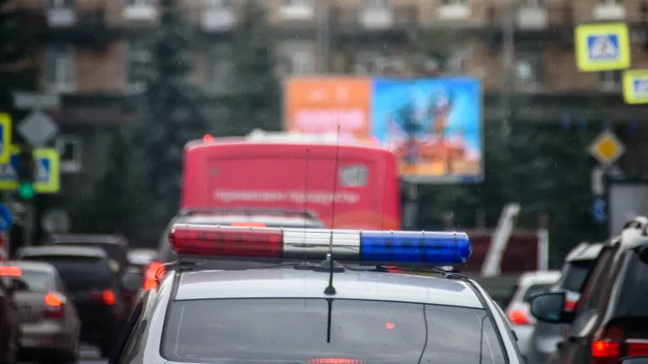 "ЛизаАлерт" проверит новые зацепки после схода снега: как будут искать пропавшую семью Усольцевых