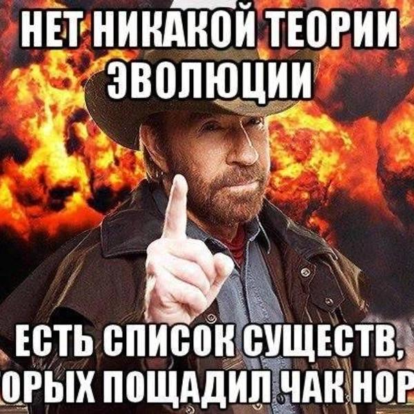 Лучшие мемы с Чаком Норрисом