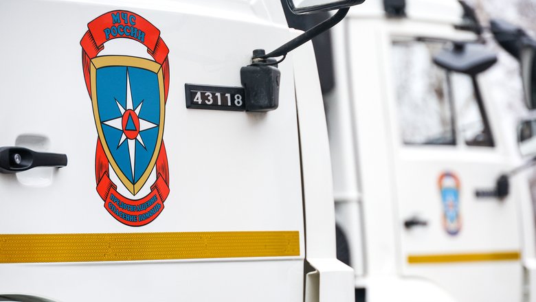 В Звенигороде спасатели обнаружили тело второго погибшего ребенка