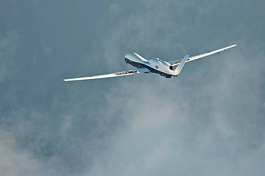 В США объяснили потерю разведчика MQ-4C Triton над Персидским заливом