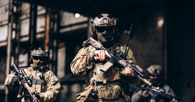Азаров о&nbsp;европейских военных силах: Украинцы&nbsp;&mdash; главные ландскнехты