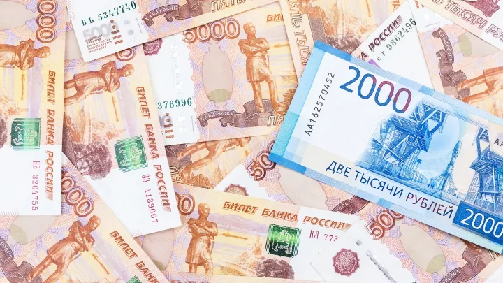 Миллионы на "бумажной" земле: в Петербурге раскрыли схему с многодетными семьями