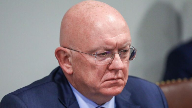 Россия не извинится за вето на проект резолюции по Ормузу, заявил Небензя