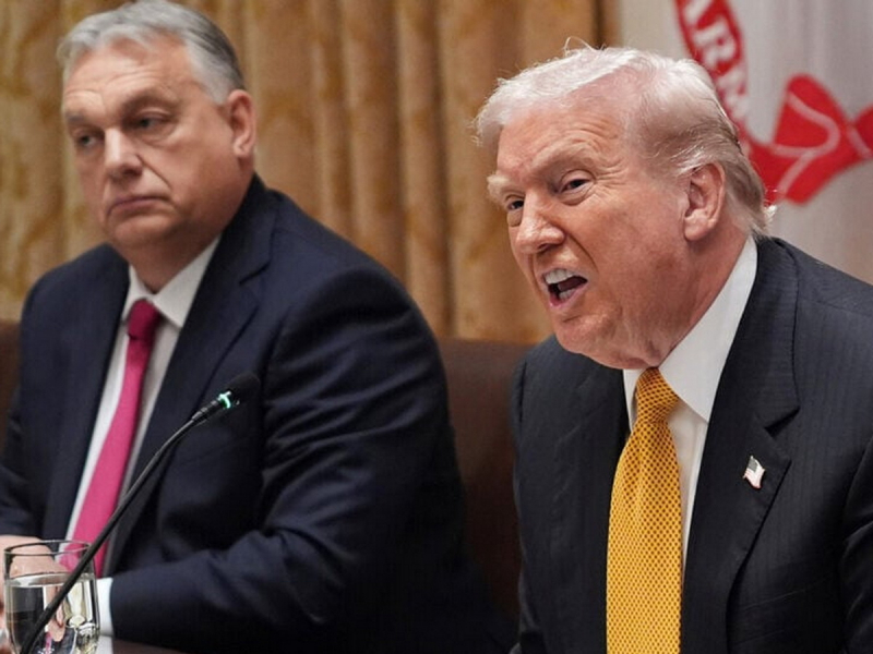 &laquo;Троянский конь Трампа&raquo;: зачем Орбану понадобилось &laquo;проиграть&raquo; выборы