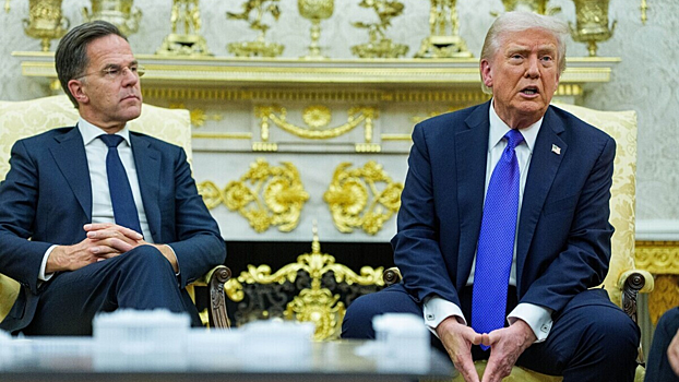 Стало известно, как генсек НАТО собирается угодить Трампу