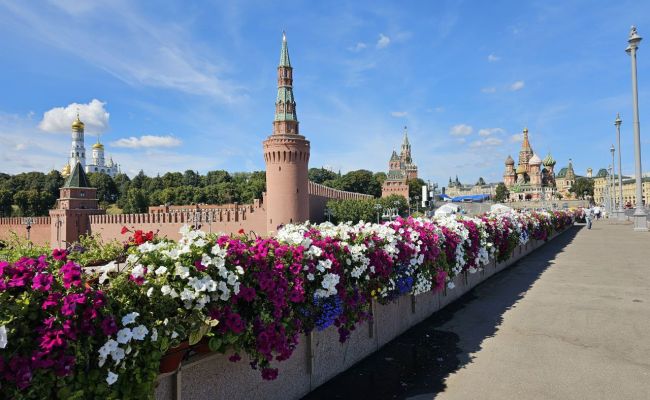 Главком сил БПЛА ВСУ: Атака &laquo;великой стены&raquo; 9&nbsp;Мая&nbsp;&mdash; зря потраченные дроны