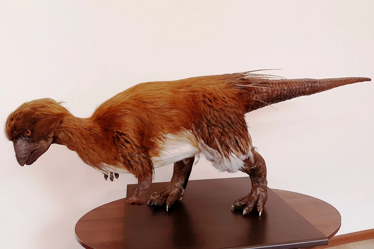 Умерла первооткрывательница уникального динозавра&nbsp;&mdash; вклад российской ученой в науку отмечал журнал Science